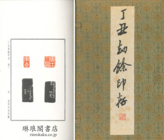 丁丑劫餘印存