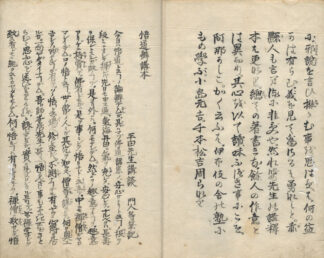 悟道辨講本