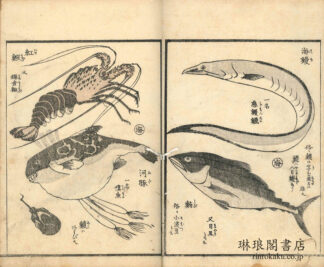 画本早満奈飛　三篇